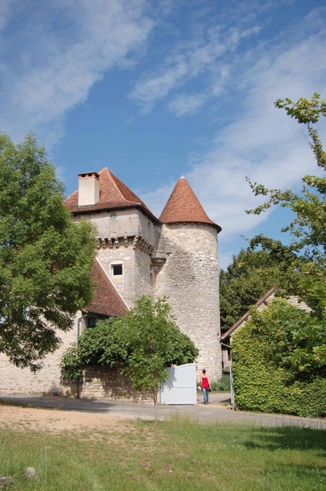 Chateau De Camboulan Ambeyrac Экстерьер фото