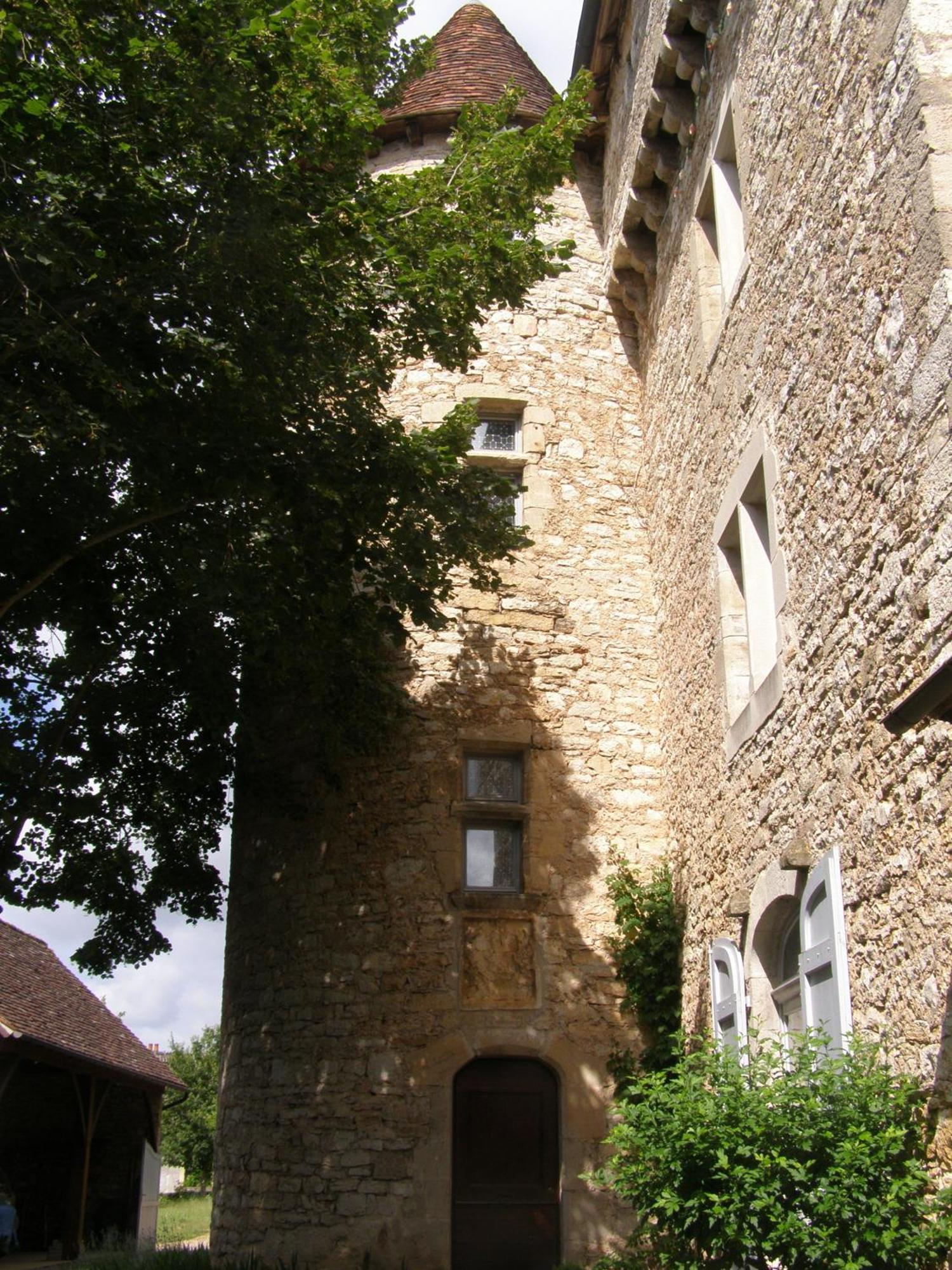 Chateau De Camboulan Ambeyrac Экстерьер фото